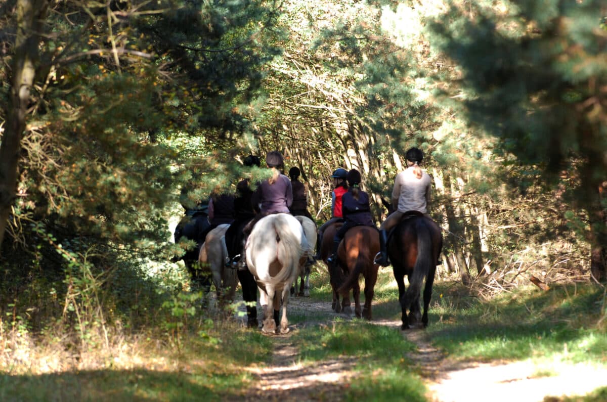 Take an authentic Texas horseback ride if you're looking for fun things to do in Dallas | The Dating Divas