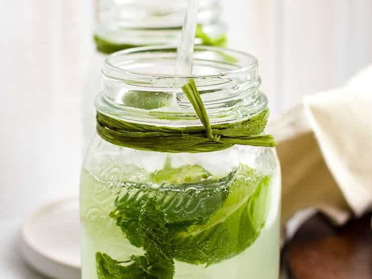 35 Yummy Mocktail Recipes for Every Holiday - 91
