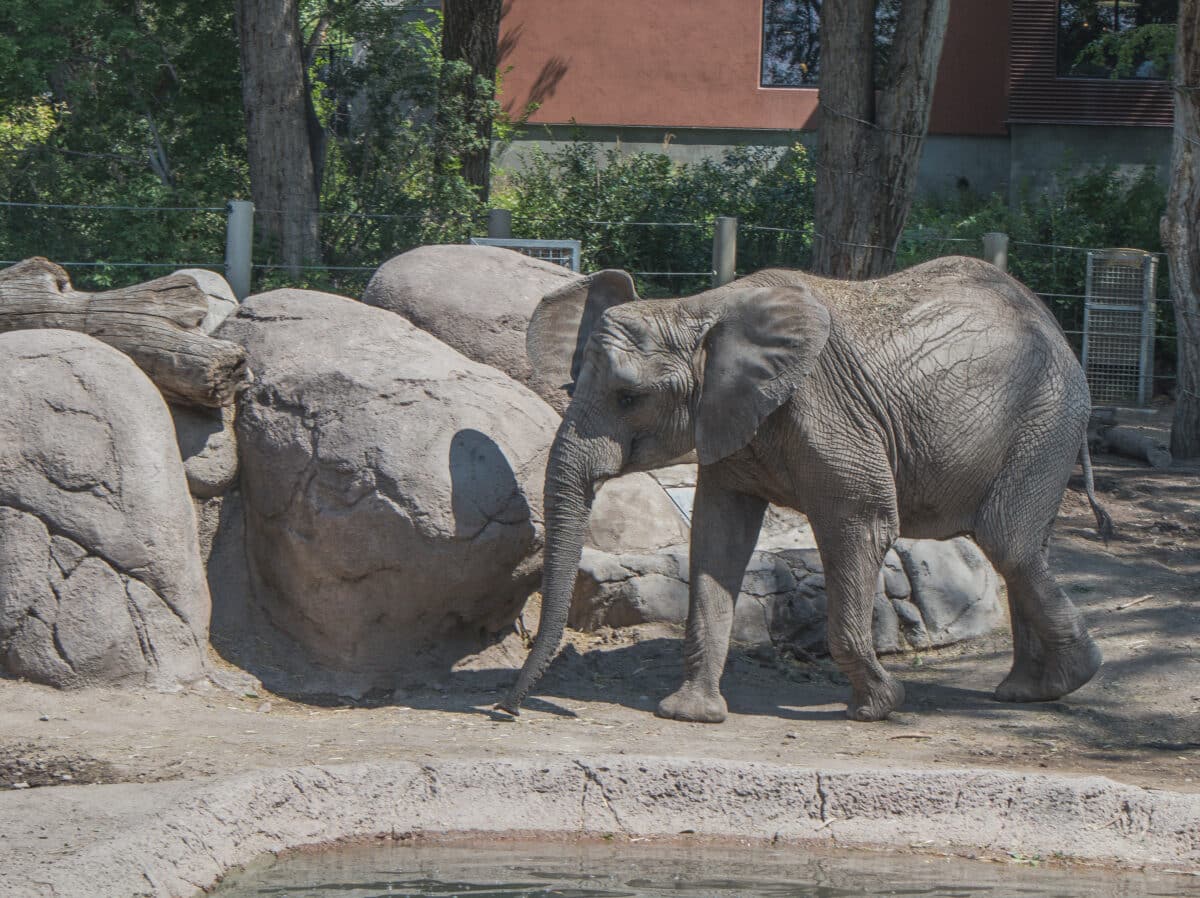 You won't regret a stop at Utah's Hogle Zoo while visiting Salt Lake City. | The Dating Divas