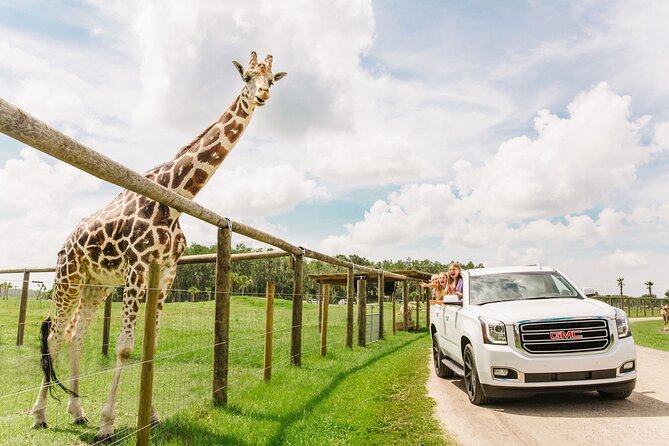 Looking for fun things to do in Orlando? Don't miss the drive-thru safari park! | The Dating Divas