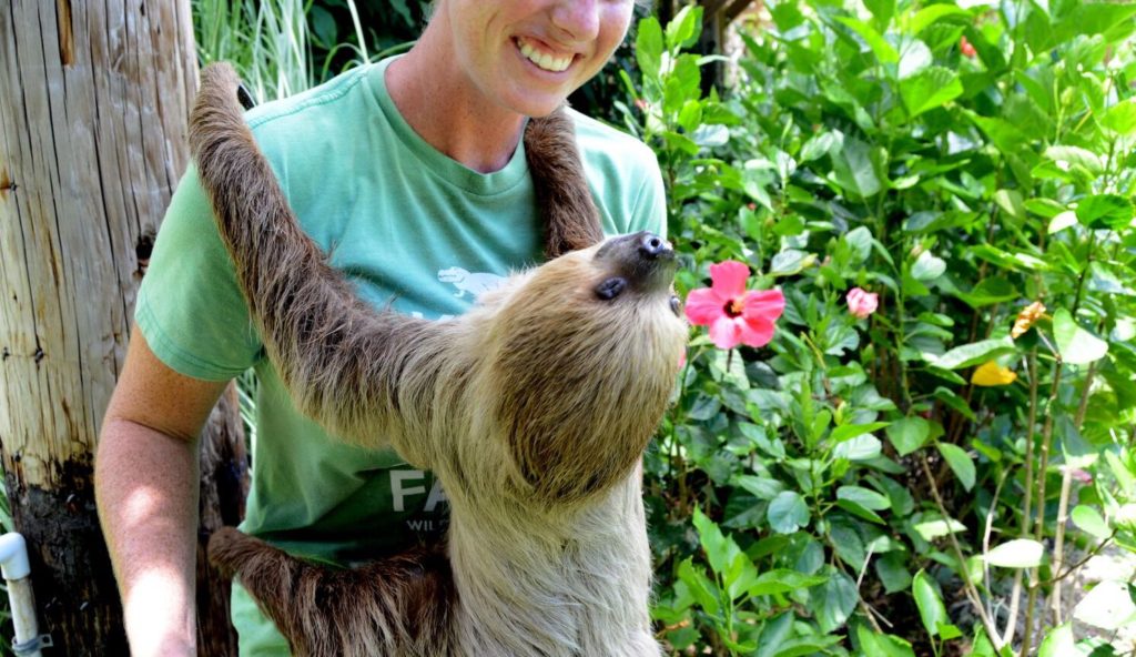 Hold a sloth at this unique stop, one of the fun things to do in Orlando. | The Dating Divas