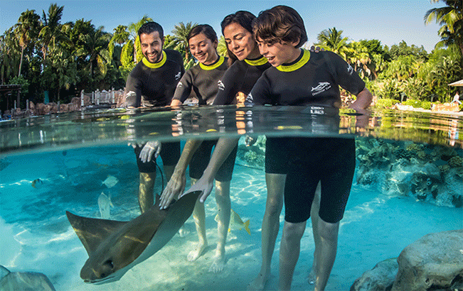 Looking for fun things to do in Orlando? You have to check out the Stingray experience at Seaworld! | The Dating Divas