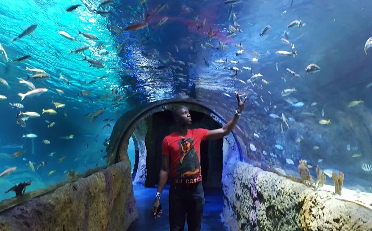 Don't miss out on this epic aquarium, one of the fun things to do in Orlando. | The Dating Divas