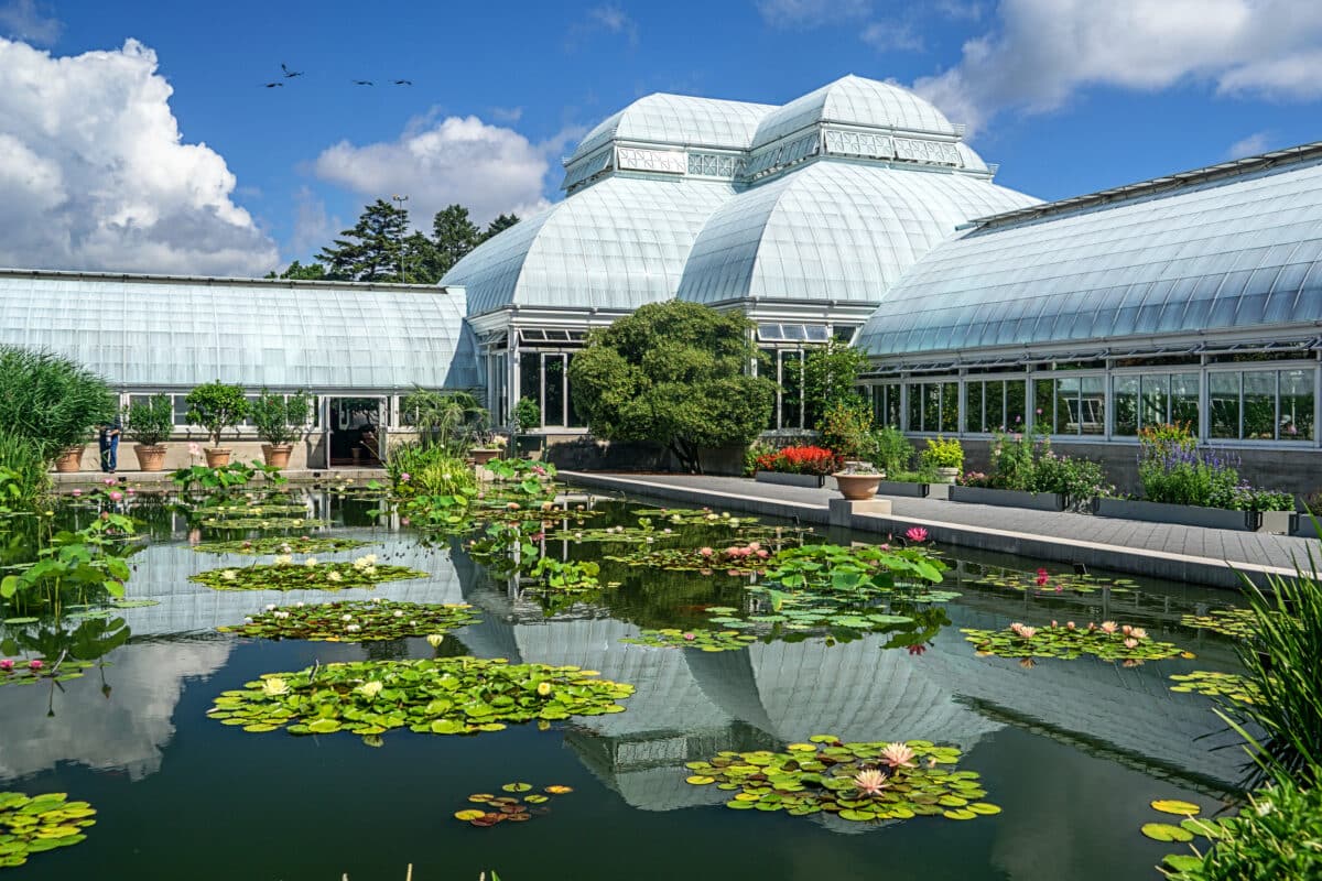 35  Bucket List  Things to Do in New York City - 4