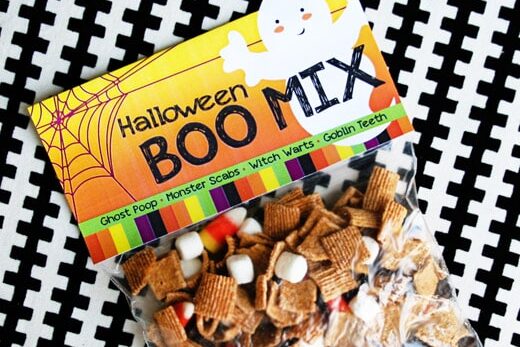 101 Fun & Easy DIY Halloween Gifts | The Dating Divas