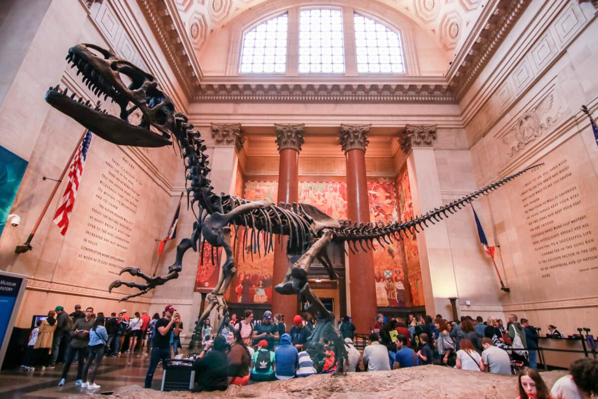 Experience the dinosaurs and other things to do in New York with this bucket list. | The Dating Divas