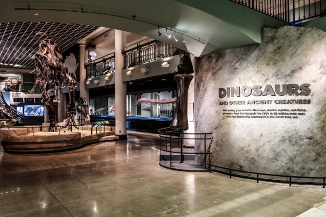 Make sure to visit The Academy of Natural Sciences of Drexel University when looking for things to do in Pennsylvania! | The Dating Divas
