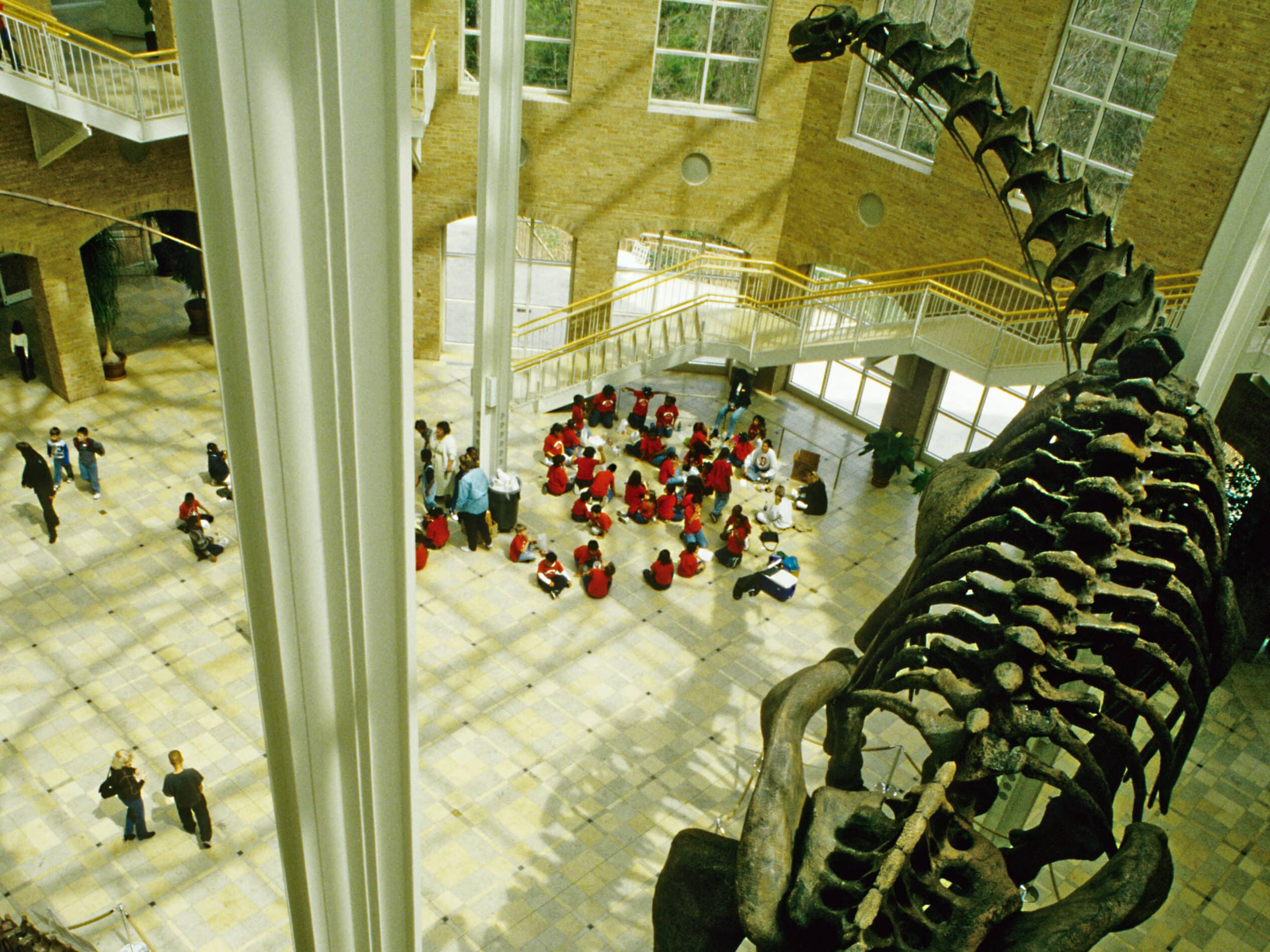 Fun things to do in Atlanta: The Fern Bank Museum of Natural History | The Dating Divas