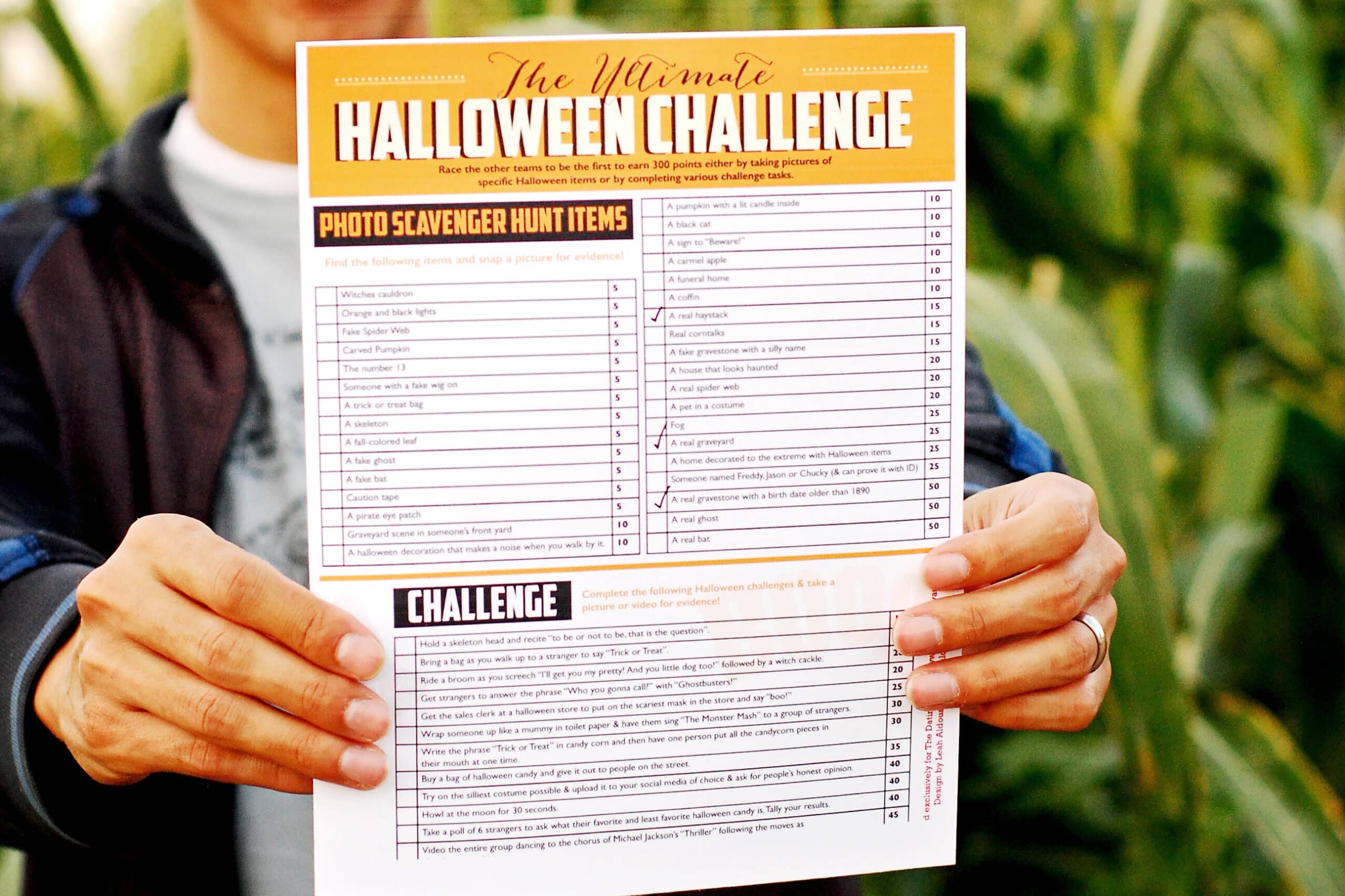 35  of the Best Scavenger Hunt Ideas - 25