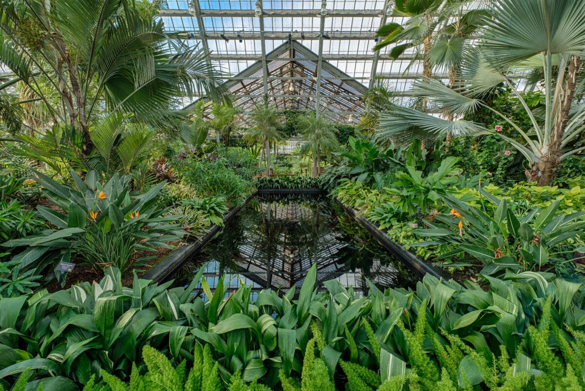 Searching for things to do in Chicago this weekend? Visit the Garfield Park Conservatory! | The Dating Divas