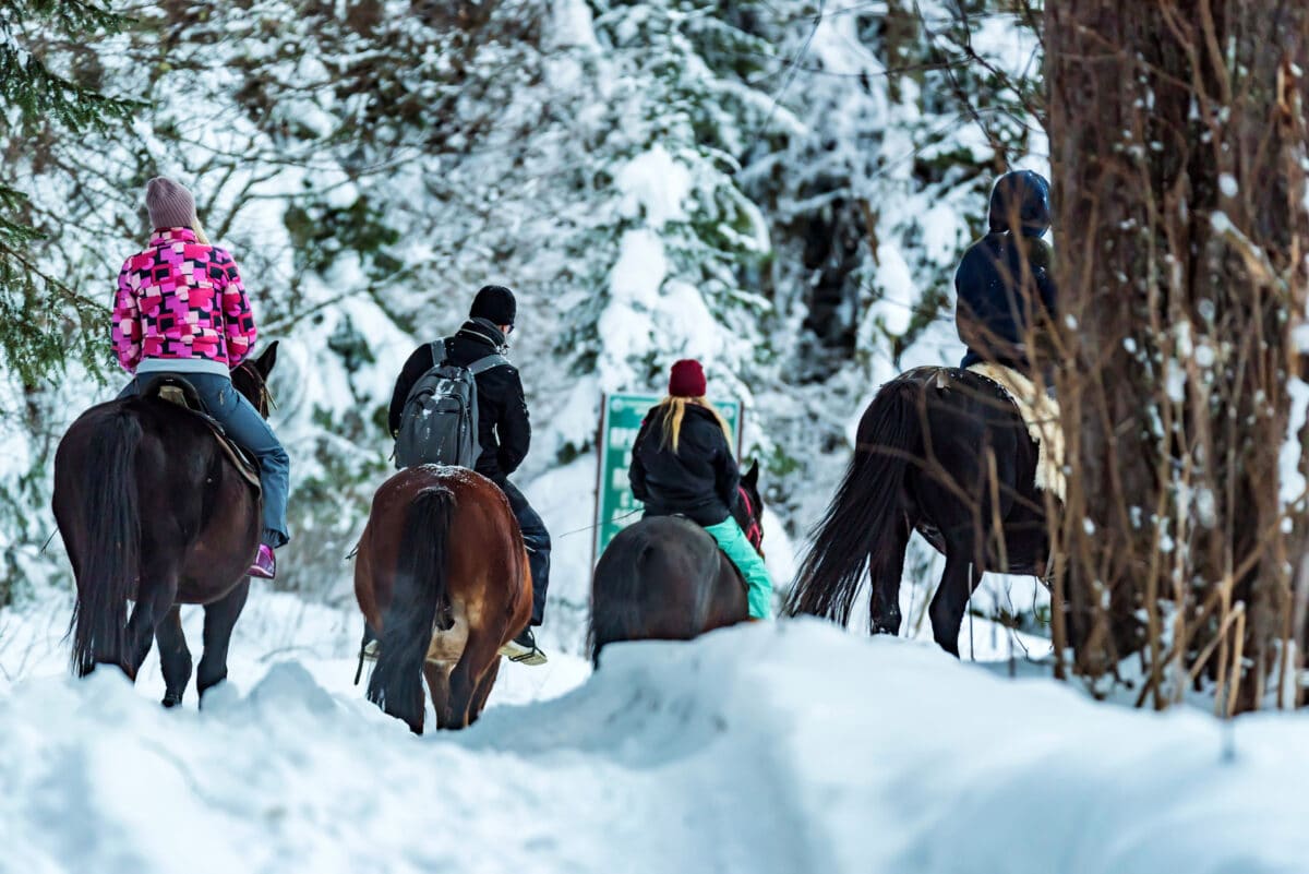 Don't forget to put horseback riding on your winter bucket list! | The Dating Divas