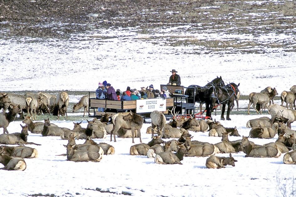 35 of the Best Bucket List Winter Activities - 32