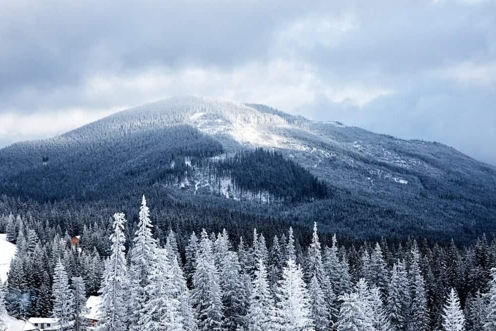 35 of the Best Bucket List Winter Activities - 45