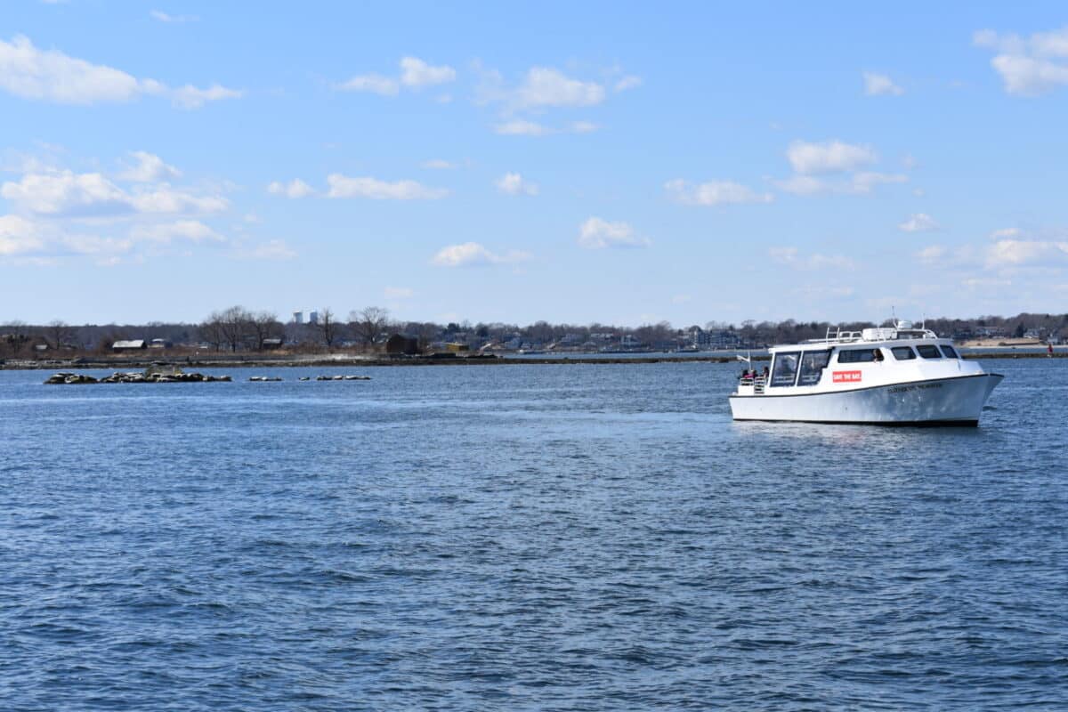 Add seal watching to your family's winter bucket list! | The Dating Divas