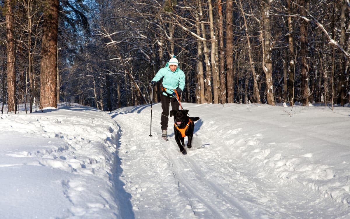 35 of the Best Bucket List Winter Activities - 60