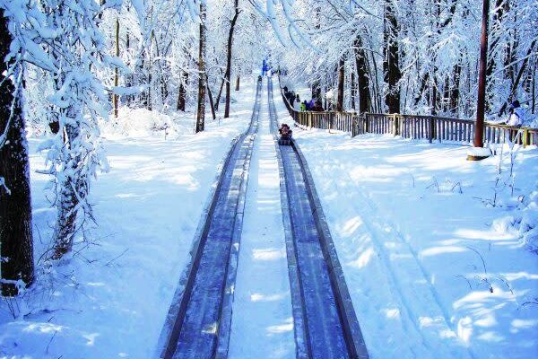 Make sure to put a toboggan run on your winter bucket list! | The Dating Divas