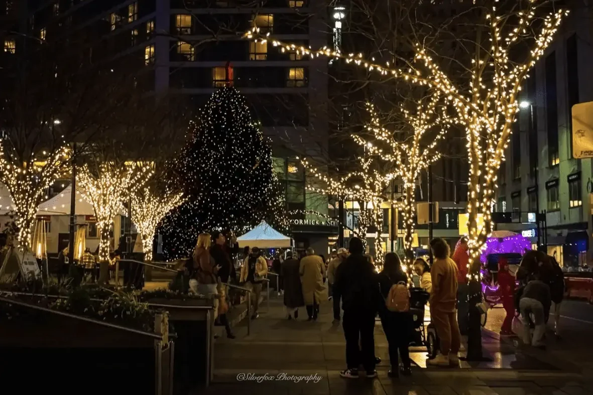 35 of the Best Bucket List Winter Activities - 64