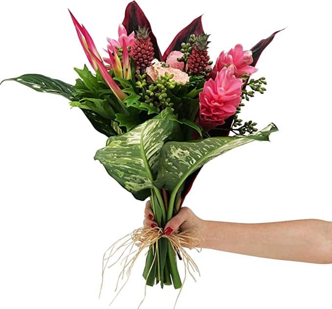 Amazon has a ton of Valentine's Day flowers to choose from! | The Dating Divas 