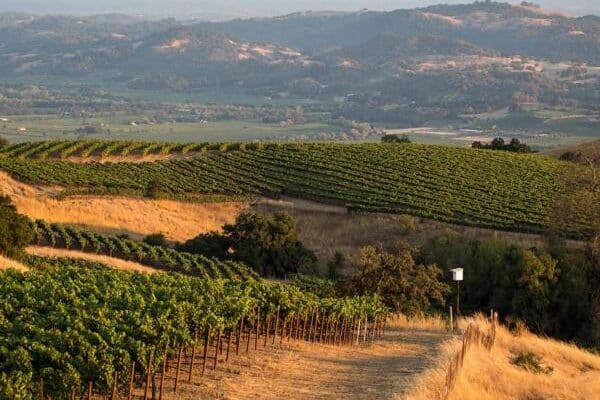 Romantic weekend getaways in Sonoma County, California | The Dating Divas