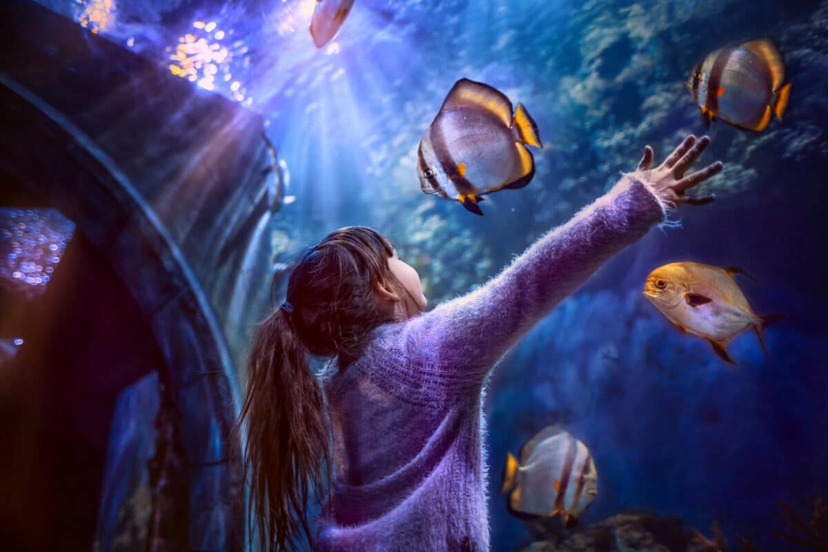 Consider going to the aquarium  when looking for things to do in Charlotte, NC. | The Dating Divas