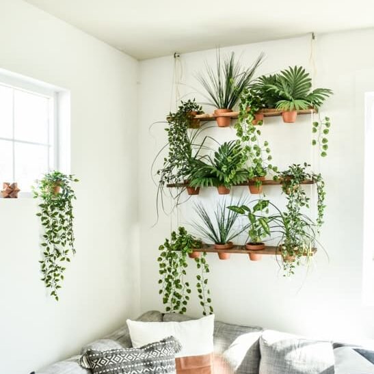 Use living plants for your DIY home decor. | The Dating Divas