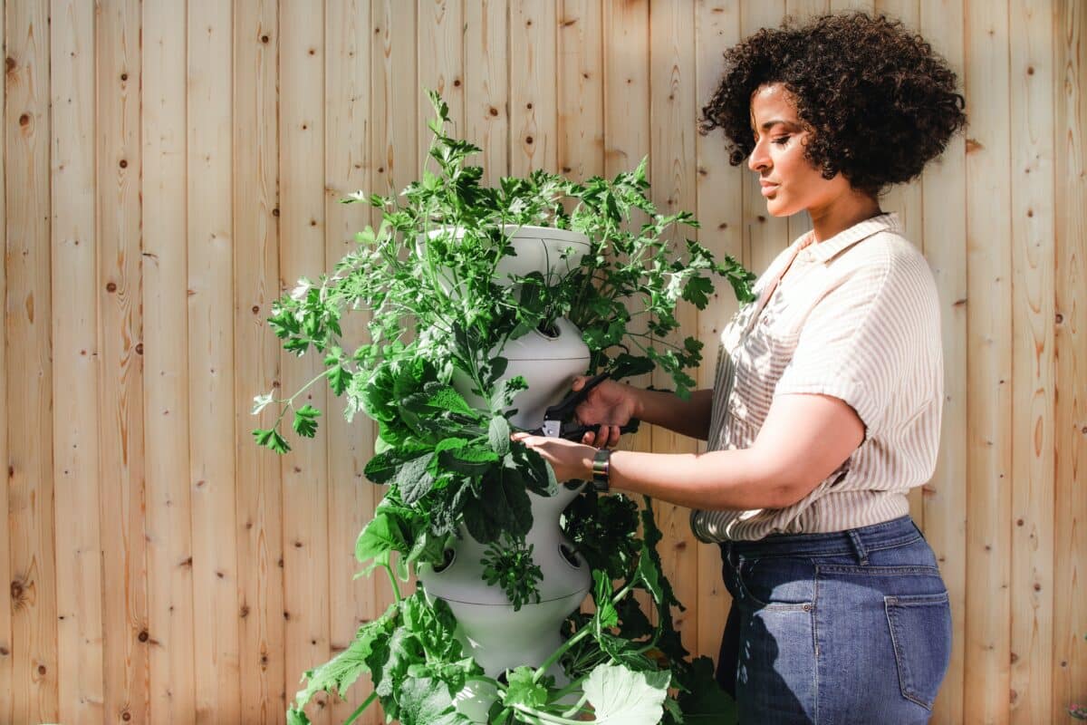 Gardening will be much more fun and less of a hassle, thanks to these cool life hacks. | The Dating Divas 