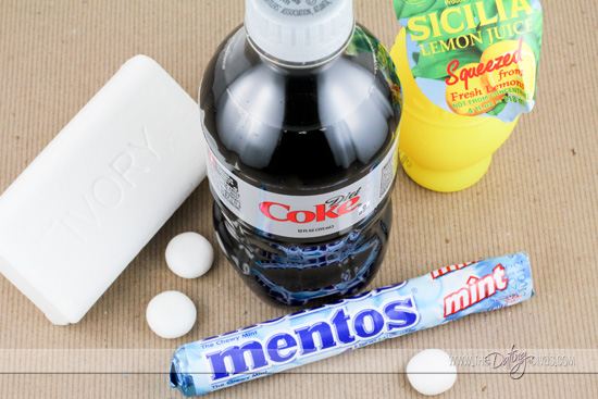 Candice-Love Laboratory-Ingredients
