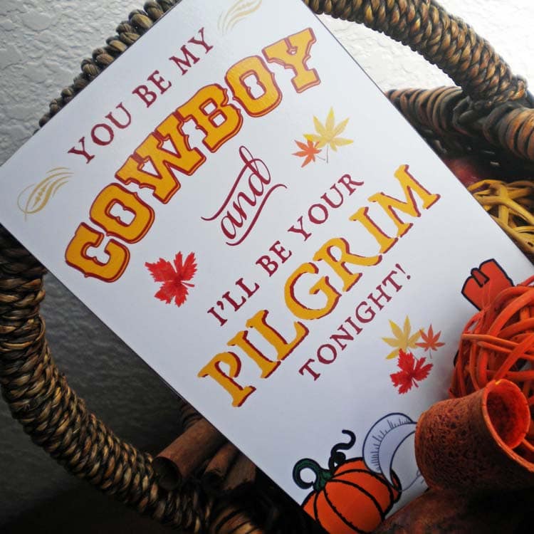 Cowboy and Pilgrim bedroom game