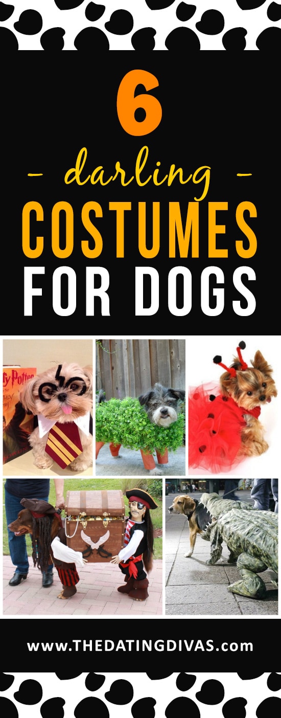 Halloween Costumes for Dogs