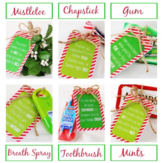 DIY Christmas Gift with Printables