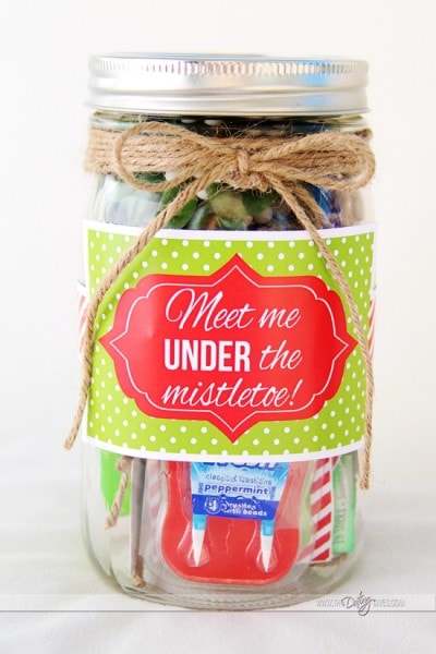 DIY Mistletoe Kit Christmas Gift with Printables