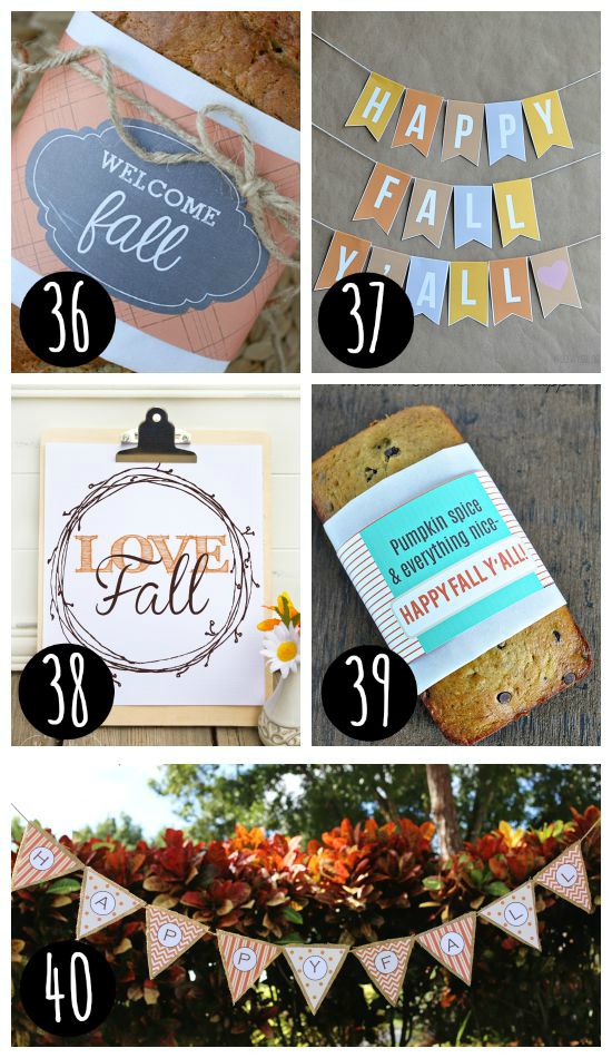 Fall Food Labels