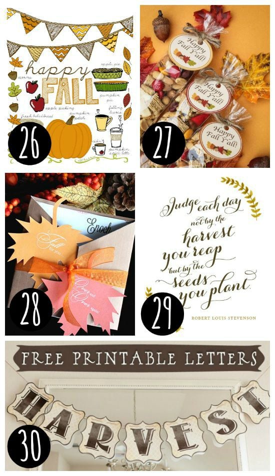 Free Fall Decor