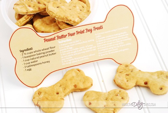 Hug Your Hound Dog Treat Recipe