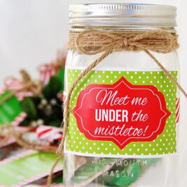 DIY Mistletoe Kit Christmas Gift