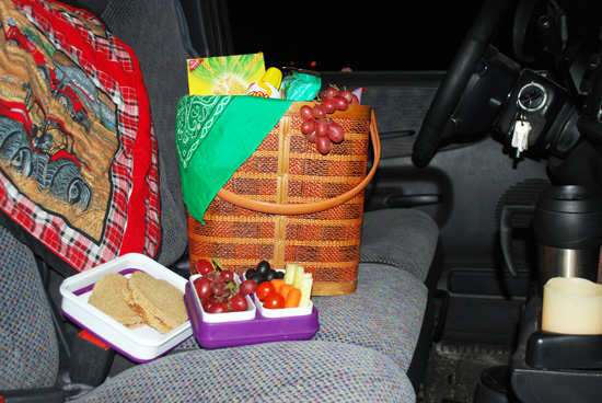 Winter Car Picnic - 84