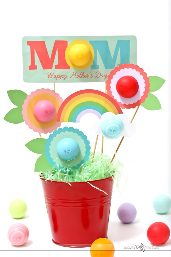 Mother's Day Gift Basket EOS Chapsticks