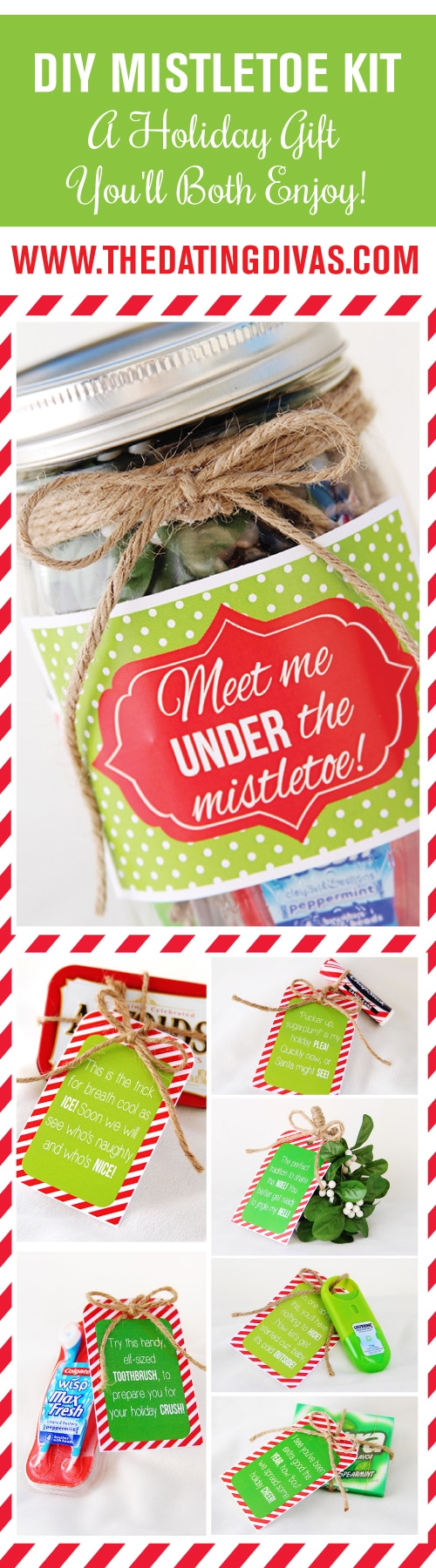 DIY Mistletoe kit christmas gift