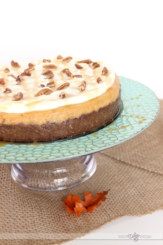 Pie Night Pumpkin Cheesecake