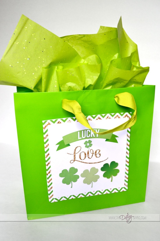 DIY Gift Bag