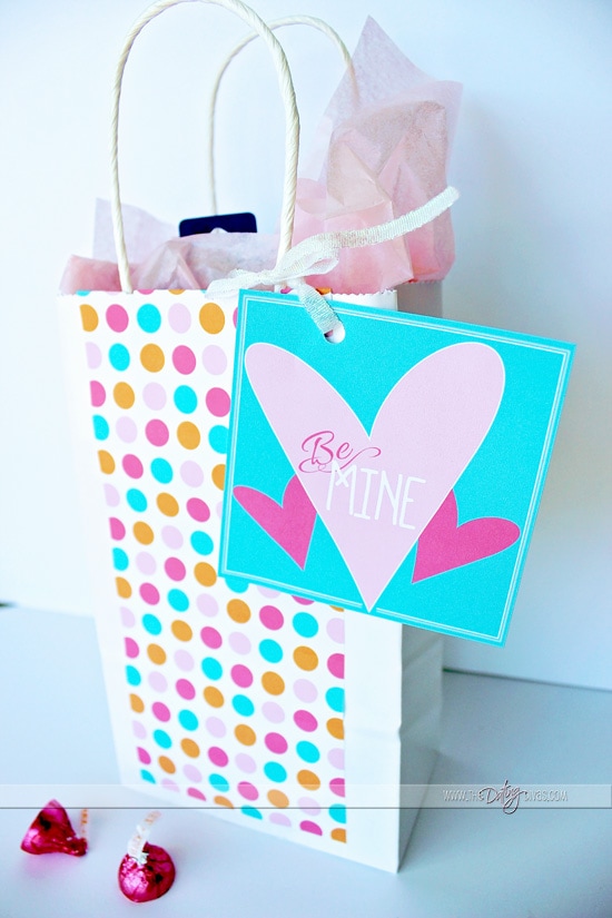 Valentine's Gift Bag