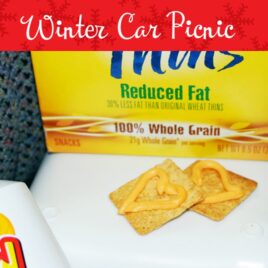 winter car picnic idea