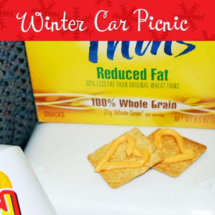 Winter Car Picnic - 67