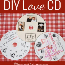 DIY Love CD