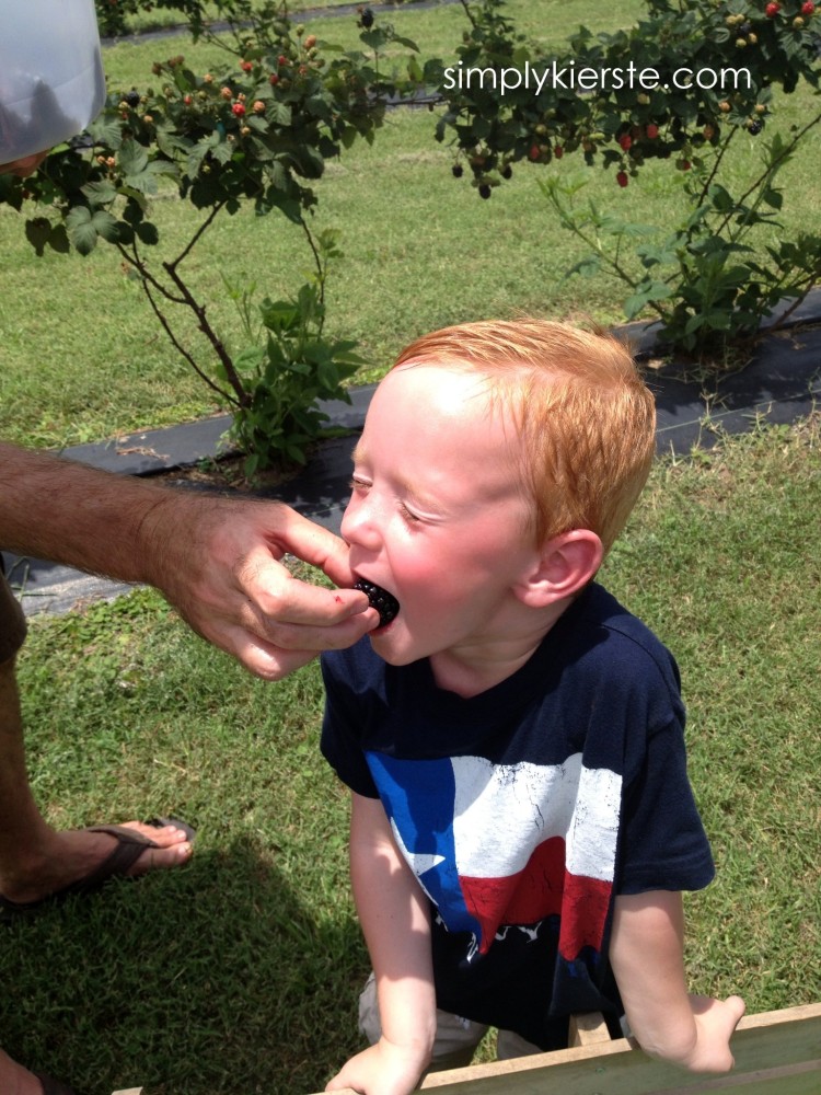Family Date Night Series   Outdoor Fun with Simply Kierste - 6
