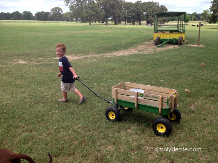 Family Date Night Series   Outdoor Fun with Simply Kierste - 67