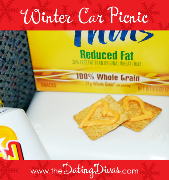 Winter Car Picnic - 90